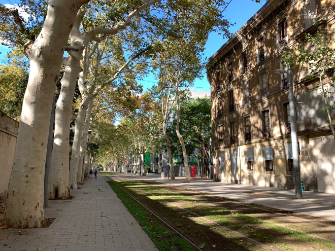 Barcelona, 2023: via exclusiva para transporte coletivo sobre trilhos. Automóveis foram banidos deste tipo de via